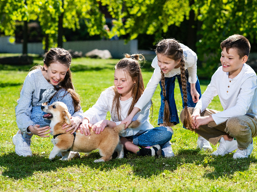 Dog Facts For Kids - Dog Care Insider